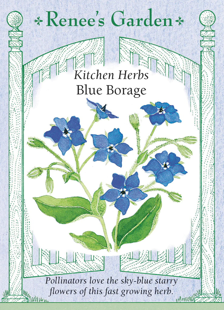 RG Blue Borage Kitchen Herbs